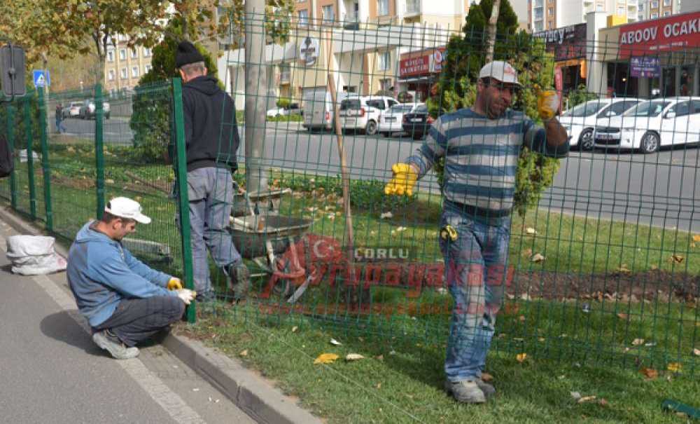 Büyükşehir Set Çekti