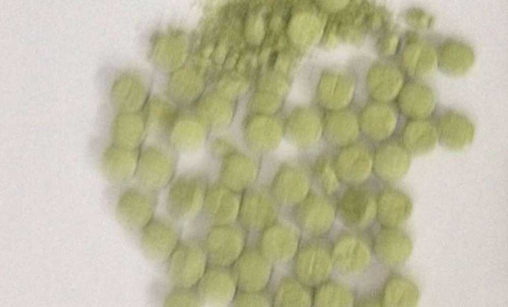 Çorlu Kom'dan Uyuşturucuya Geçit Yok