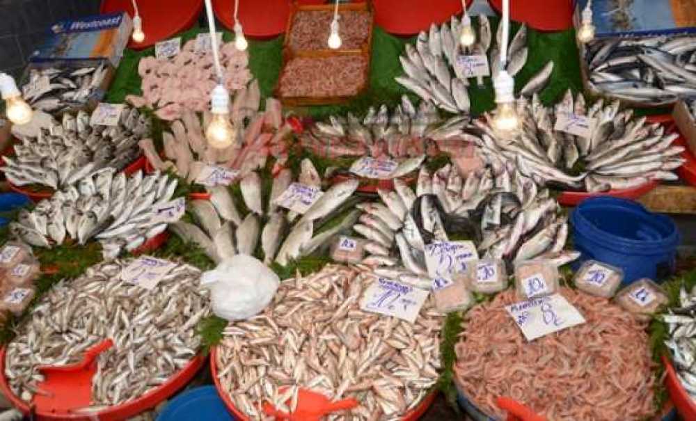 Yasak Geliyor Ama Balık Fiyatları Memnun Ediyor