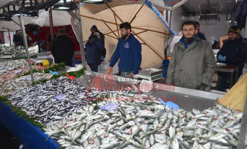Sıcaklık Düştü Balık Fiyatları Yükseldi