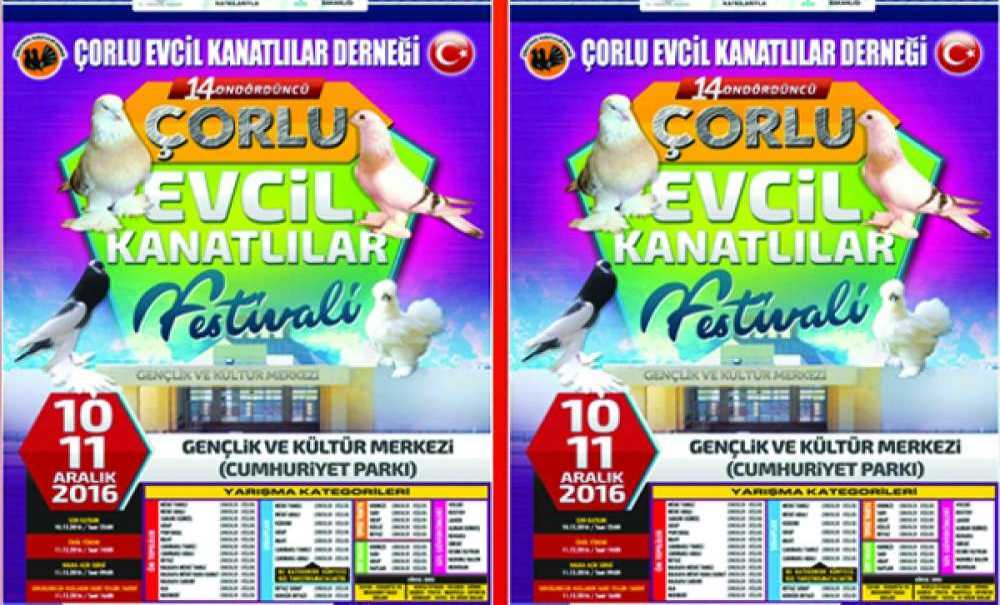 Çorlu 14. Evcil Kanatlılar Festivali'ne Hazırlanıyor