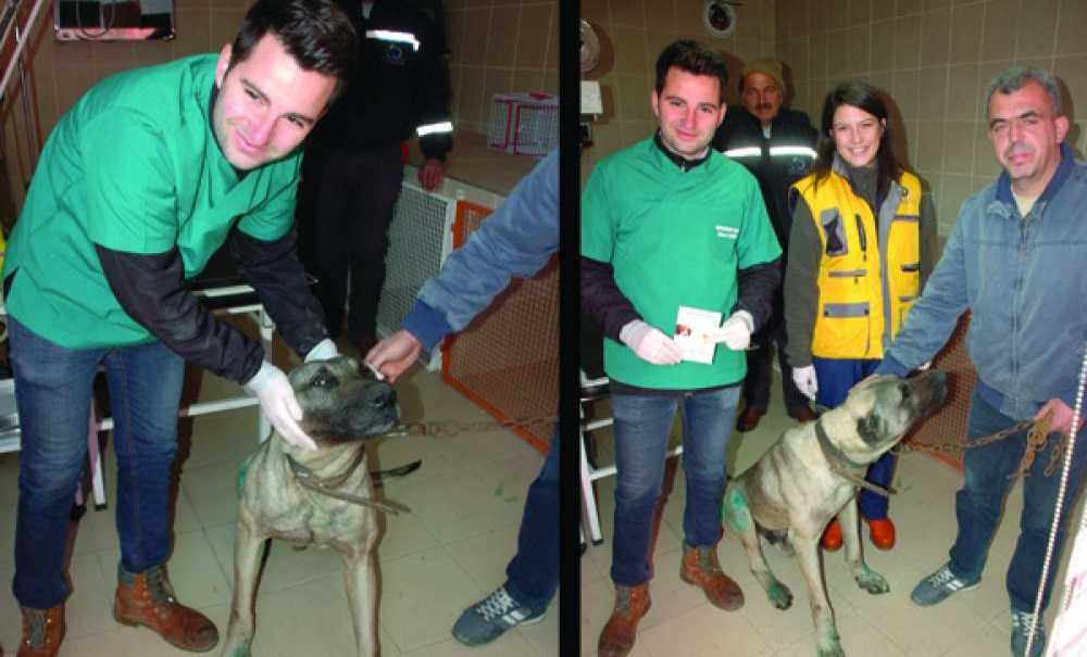 Otomobille Sürüklenen Köpek Yeni Sahibine Teslim Edildi