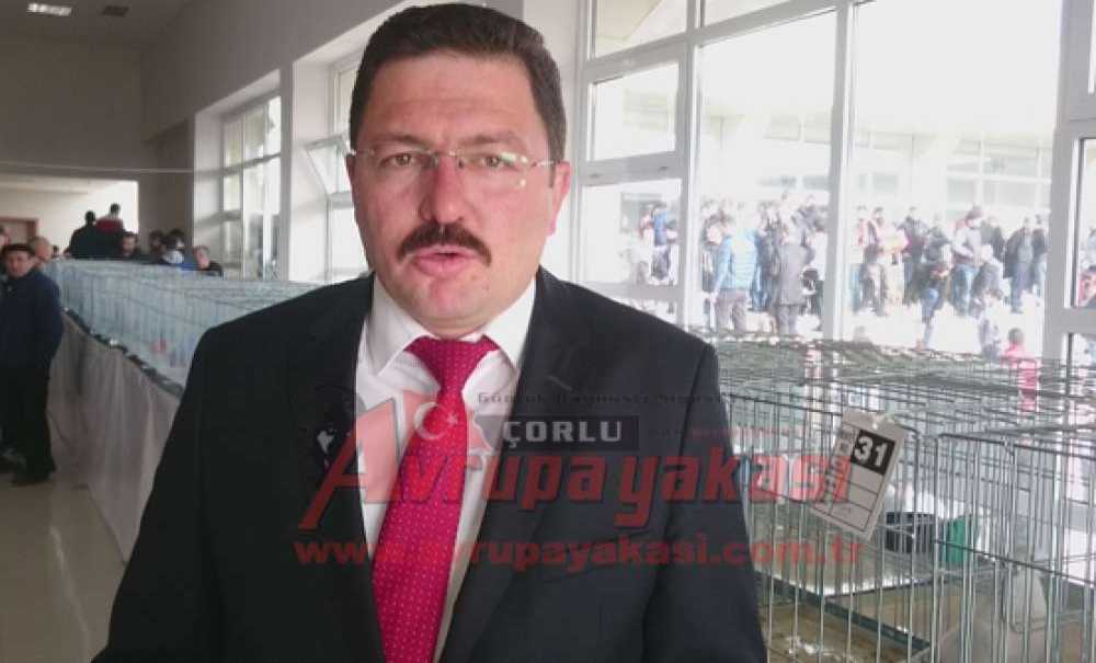 Araba Fiyatına Güvercin