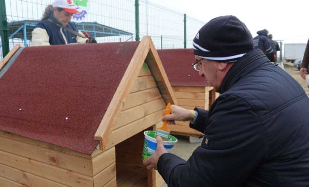 Ergene Belediyesi Ve Dohas El Birliğiyle Kulübeleri Boyadı