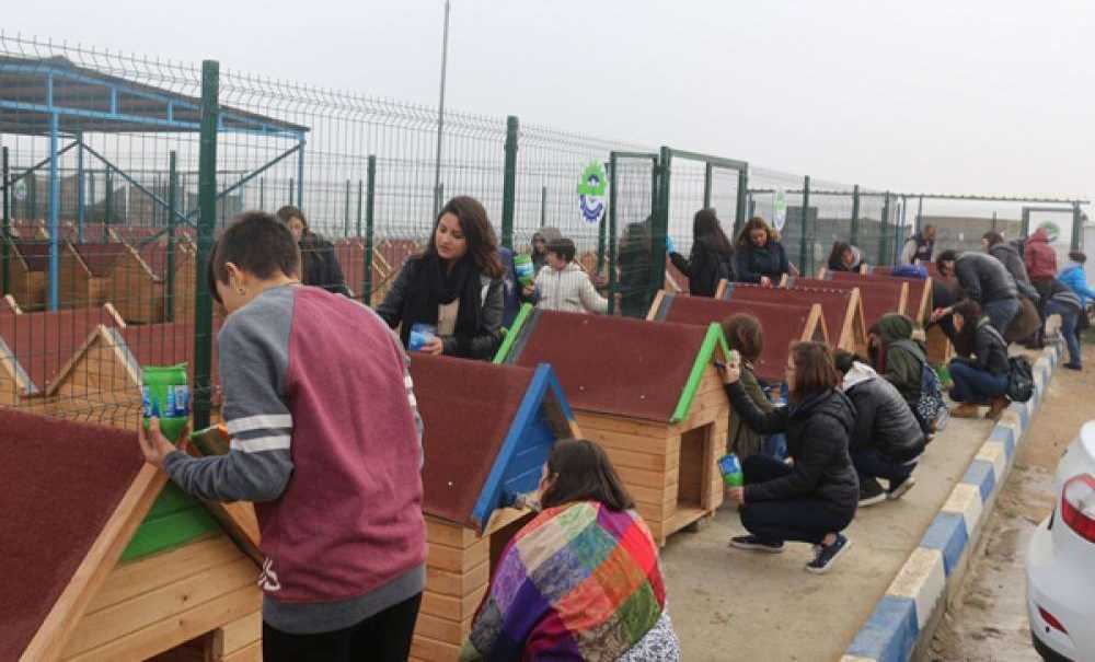 Ergene Belediyesi Ve Dohas El Birliğiyle Kulübeleri Boyadı