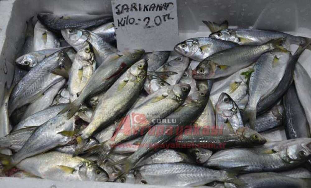 Balık Tutkunları Dikkat