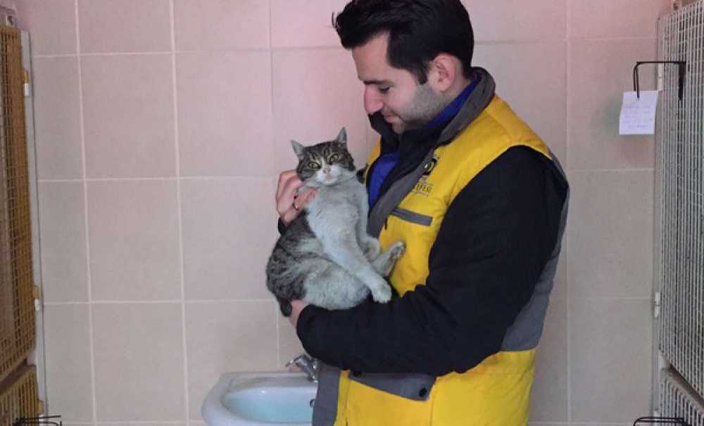 Donmak Üzere Olan Kedi Ve Karga Kurtarıldı