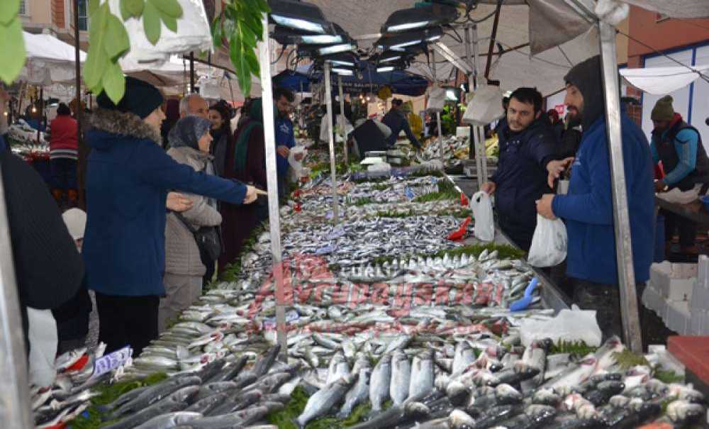 Havalar Soğudu Balık Fiyatları Arttı