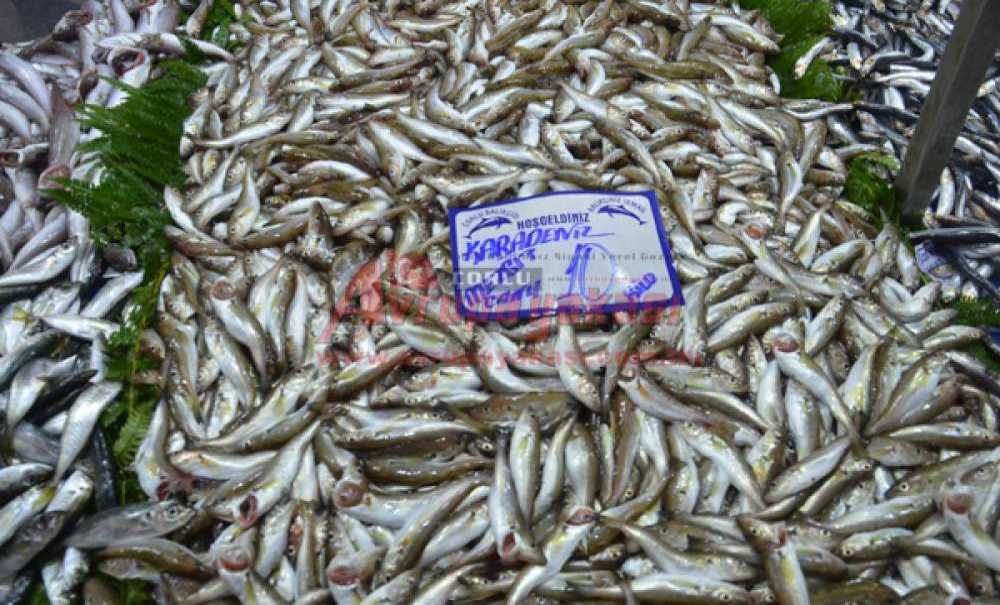 Havalar Soğudu Balık Fiyatları Arttı