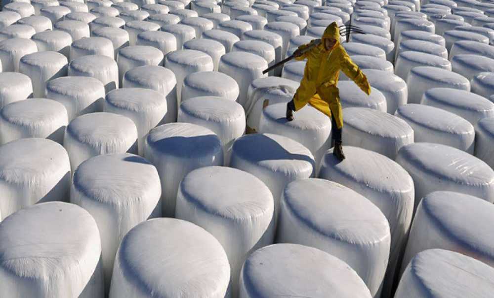 Ulusal Fotoğraf Yarışması Sonuçlandı