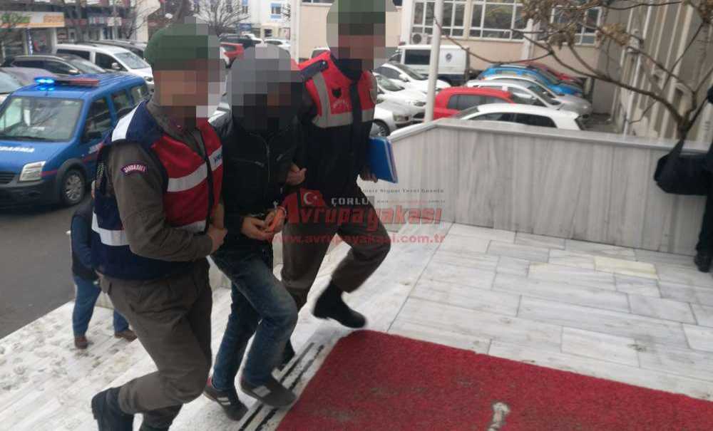 Jandarmadan Terör Operasyonu; 3 Gözaltı