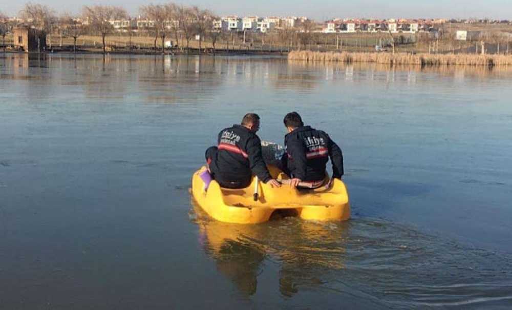 Ağaçta Asılı Kalan Karabatak Kurtarıldı