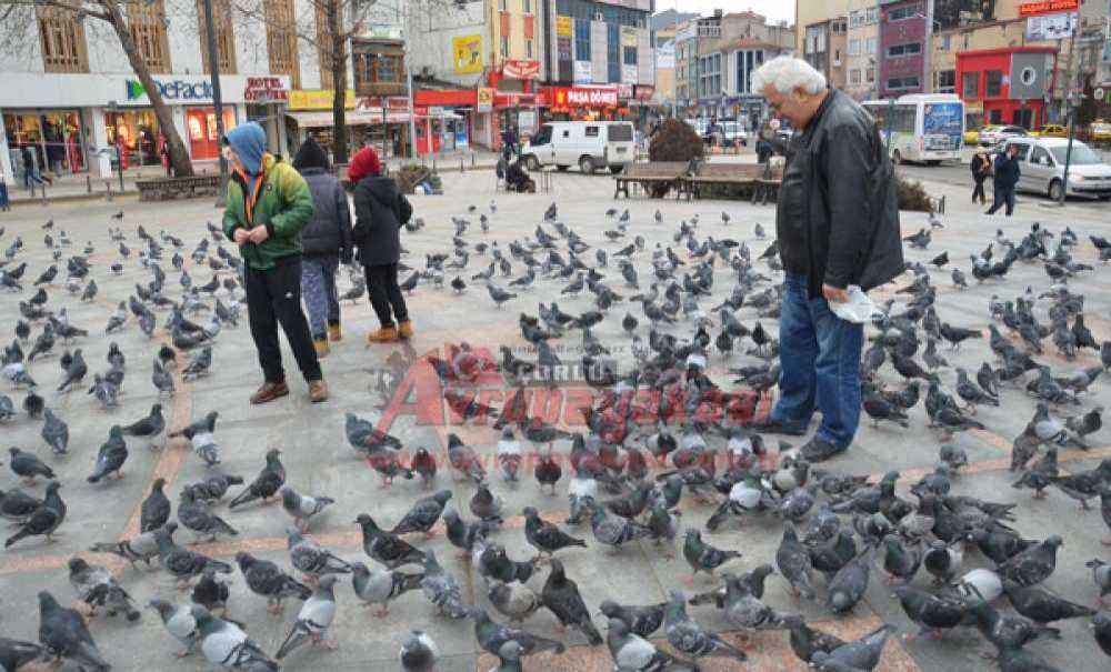Soğuk Havalarda Onları Unutmayın