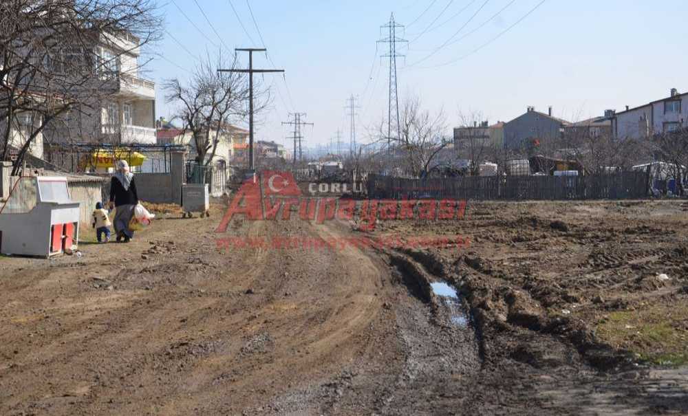 “Gülleri Bırak Yollara Bak”