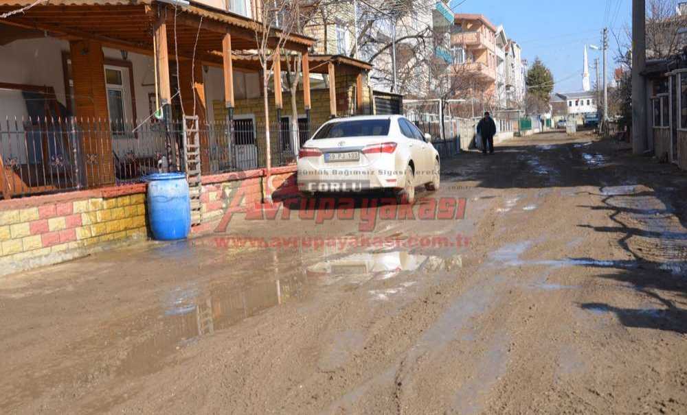 “Gülleri Bırak Yollara Bak”