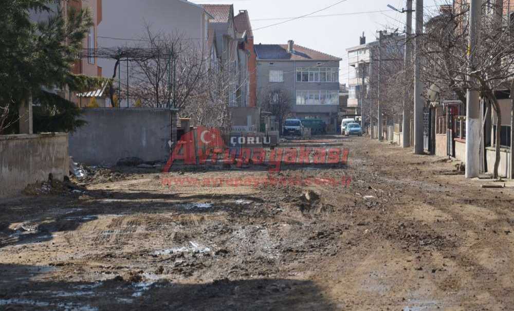 “Gülleri Bırak Yollara Bak”