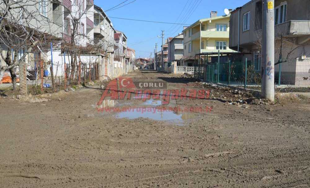 “Gülleri Bırak Yollara Bak”