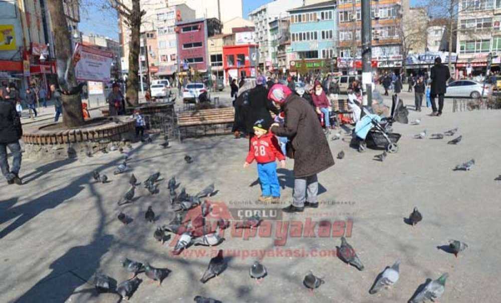 Güneşi Gören Kendini Dışarı Attı