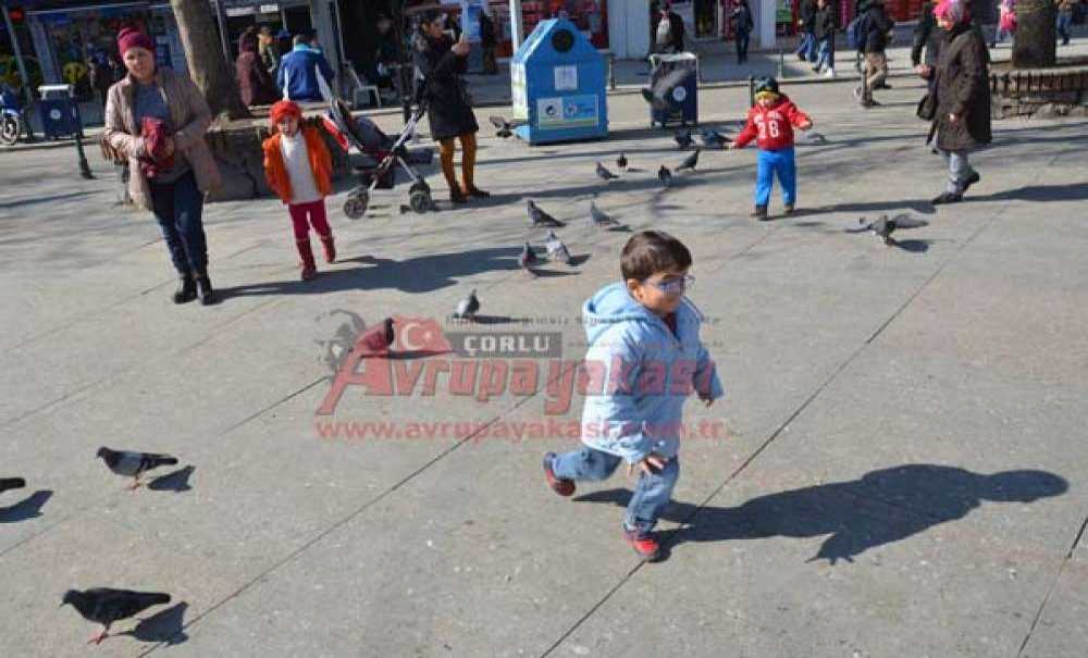 Güneşi Gören Kendini Dışarı Attı