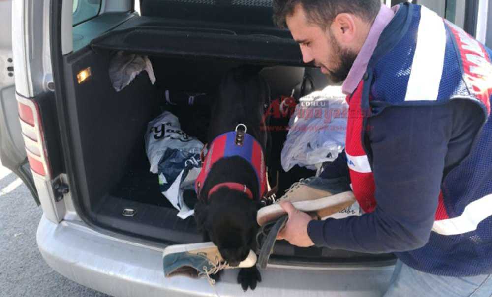 Ergene'de Jandarmadan Uygulama