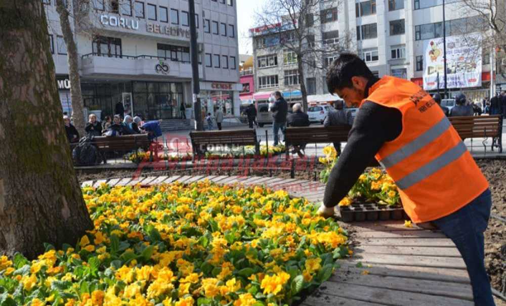 Çorlu'nun Meydanlarına Çiçek