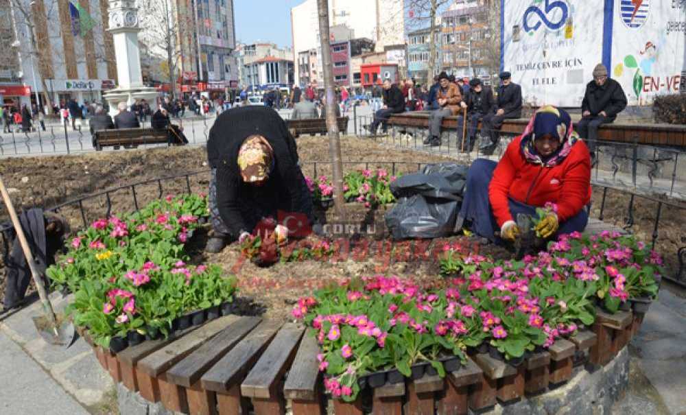 Çorlu'nun Meydanlarına Çiçek