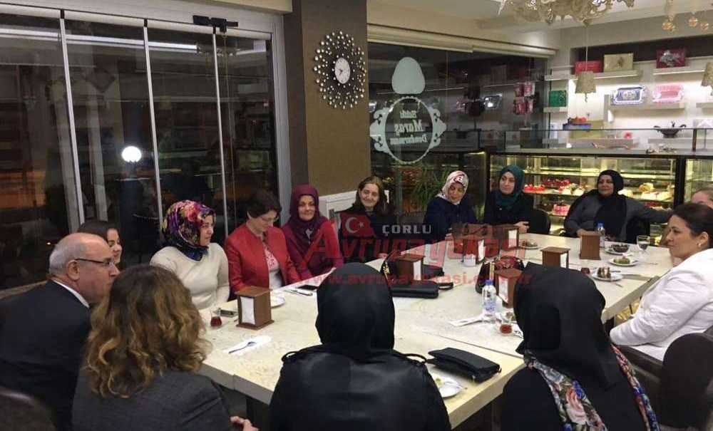 Ak Partili Akgün Evet İçin Çalışıyor