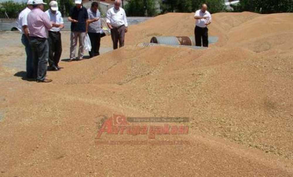 Tmo Çorlu Ajans Amirliği 2013 Alımlarını Randevulu Yapacak