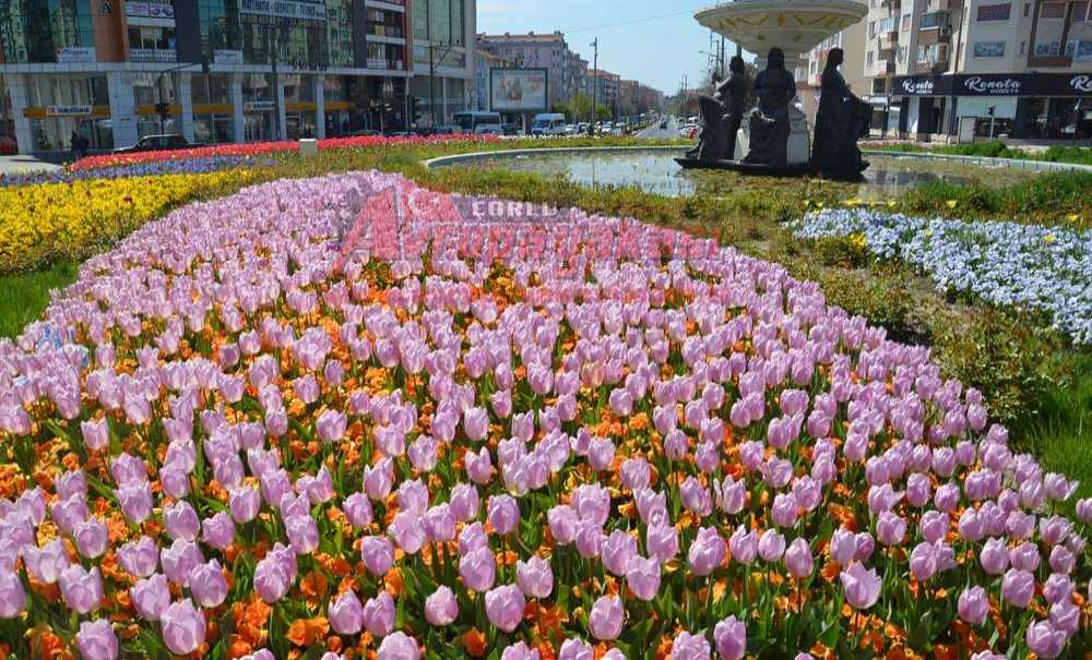 Çorlu Çiçek Açtı