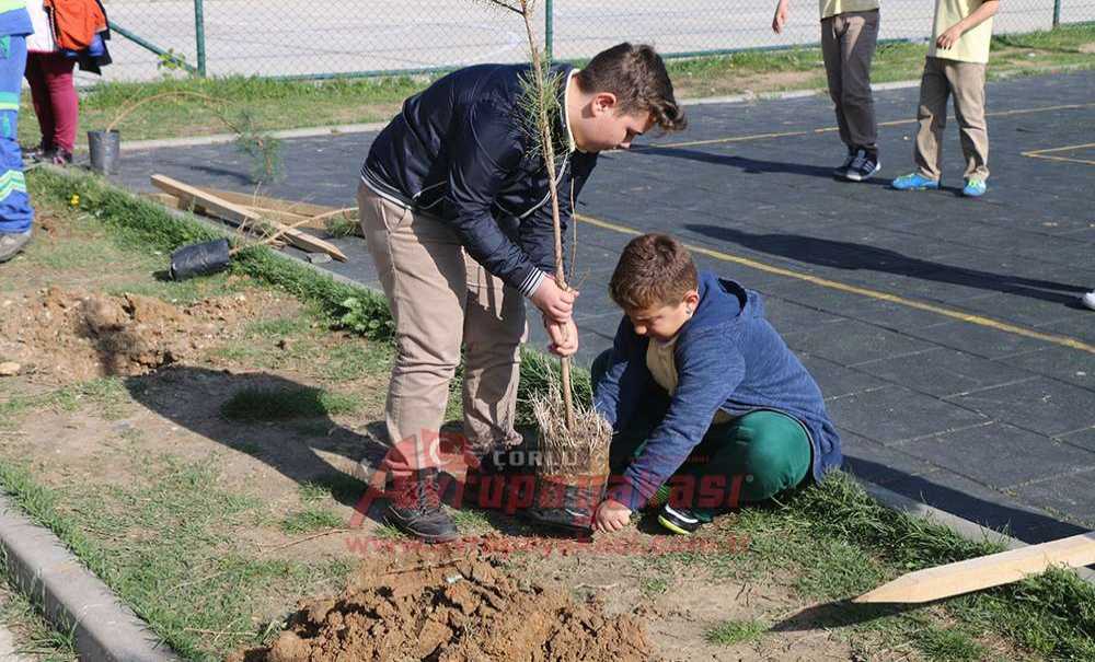 Çorlu'da Temiz Çevrem Yeşil Okulum Etkinlikleri