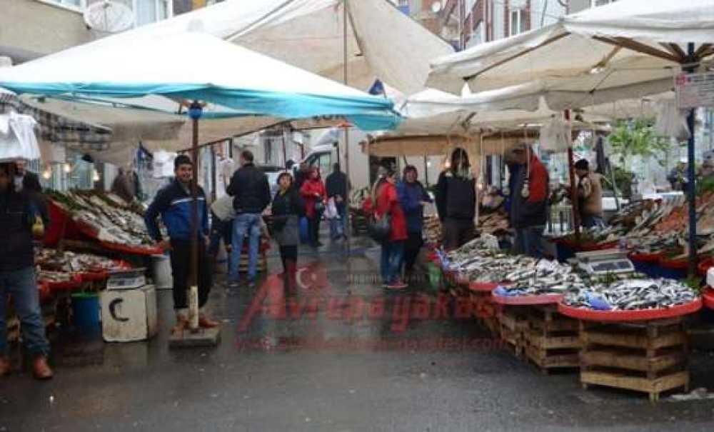 Balıkta Av Yasağı Başladı