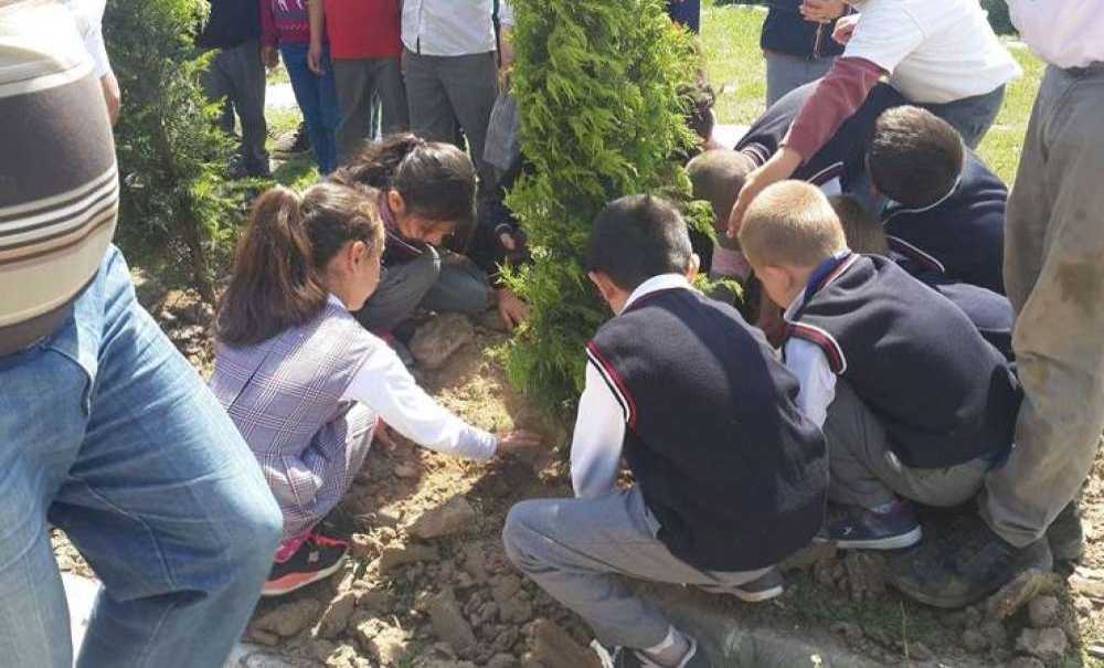 Ergene İlkokulu'ndan Okul Ağaçlandırma Projesi