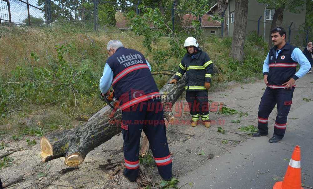 Dehşete Düşüren Kaza