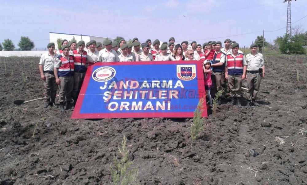 Jandarma Şehitler Adına Hatıra Ormanı Oluşturuyor