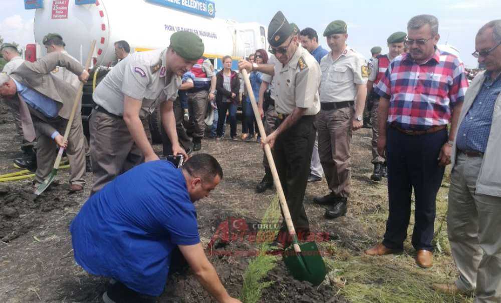Jandarma Şehitler Adına Hatıra Ormanı Oluşturuyor