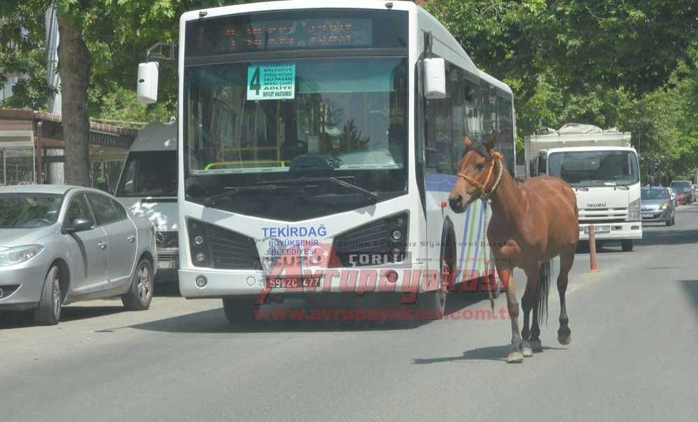 Gariplikler Şehri Çorlu
