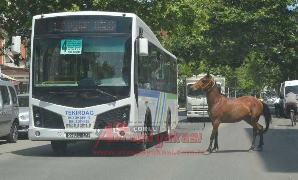 Gariplikler Şehri Çorlu
