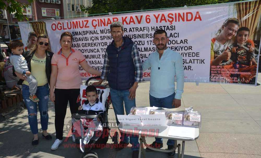 Çorlu Çınar'ı Yaşatmak İçin Seferber Oldu