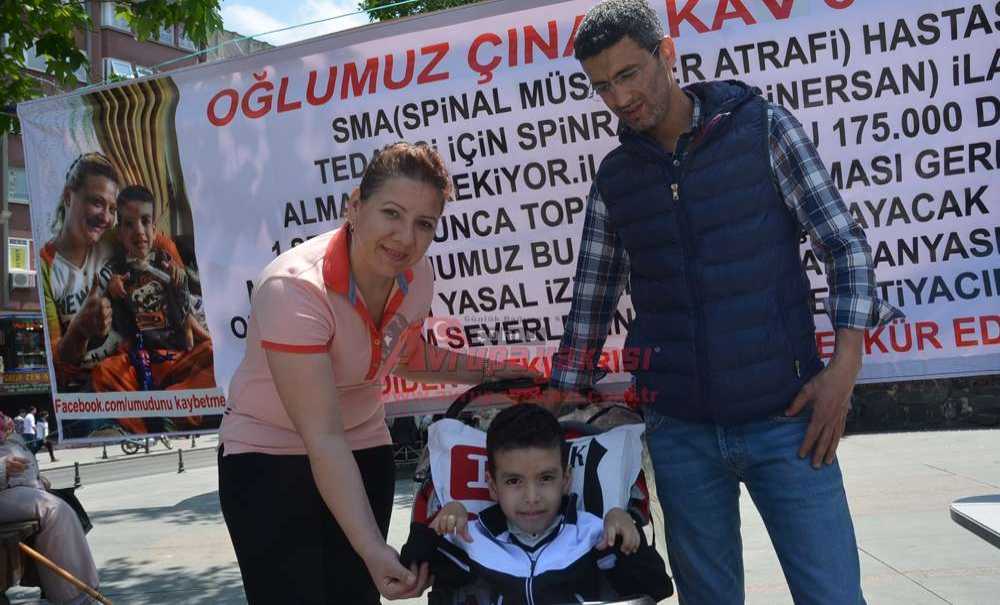 Çorlu Çınar'ı Yaşatmak İçin Seferber Oldu