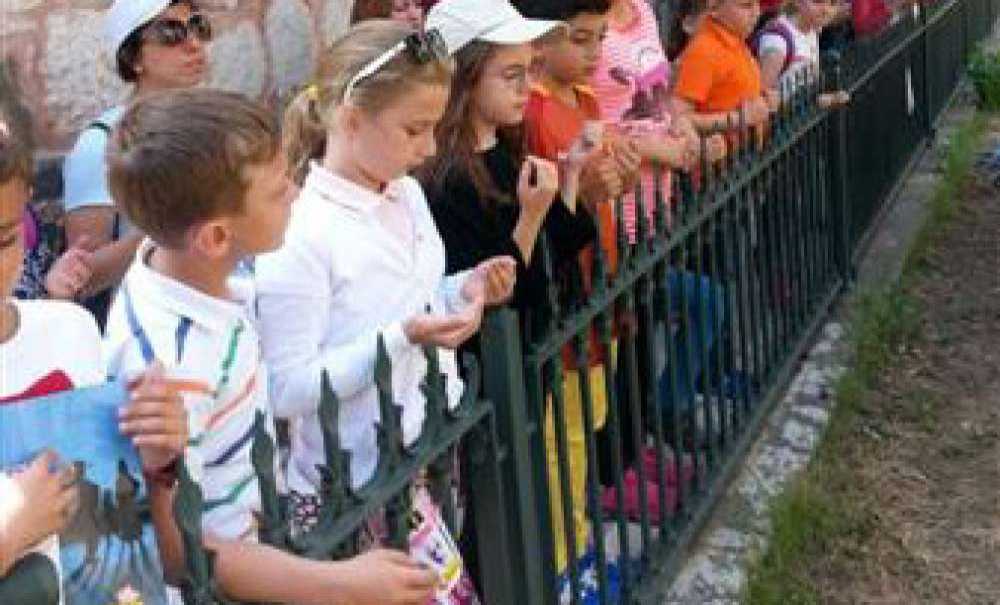 Mükerrem Ali Kayan İlkokulu Öğrencilerinden Fatih Camii'ne Ziyaret