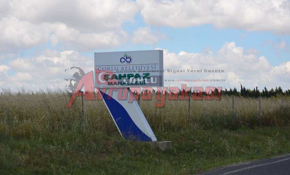 Şahbaz Mı? Şahpaz Mı?