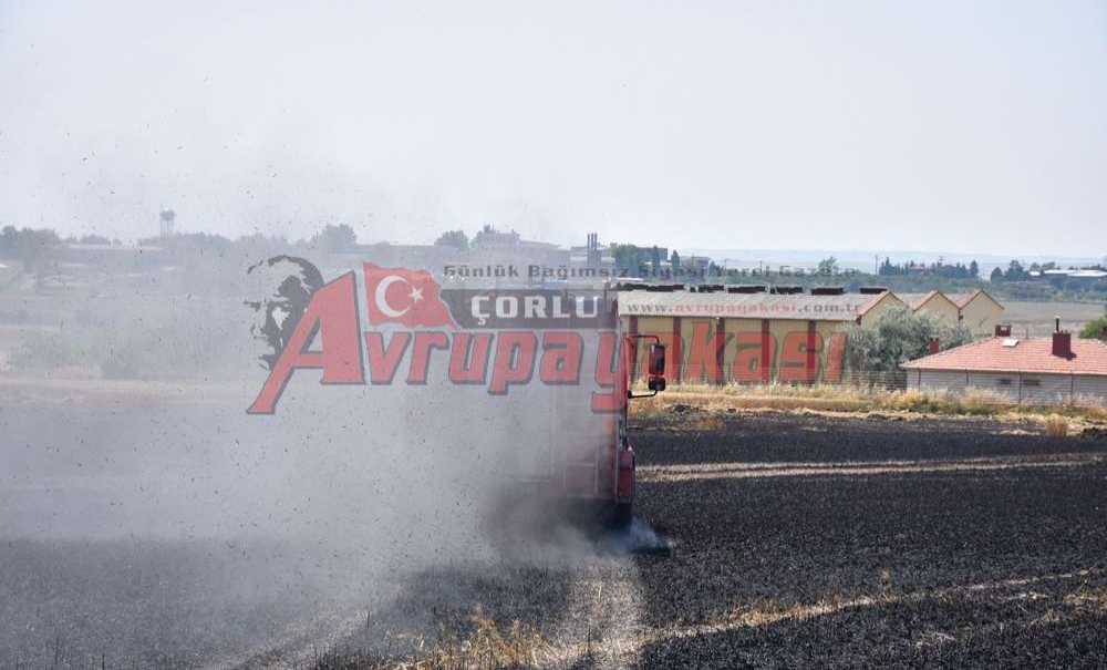 Buğday Tarlası Alevlere Teslim Oldu