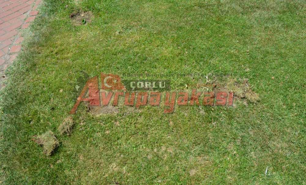 Kılıçdaroğlu Göreydi İyiydi