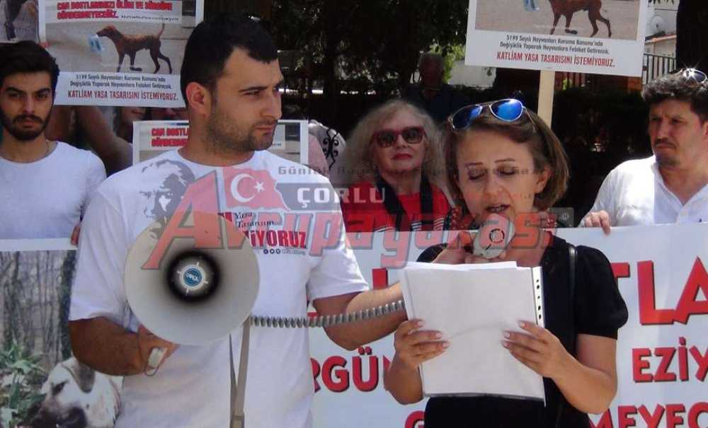 Hayvan Severlerden Katliam Yasası Açıklaması