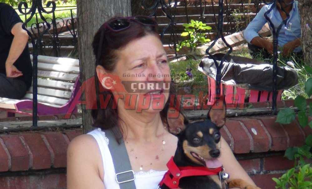 Hayvan Severlerden Katliam Yasası Açıklaması