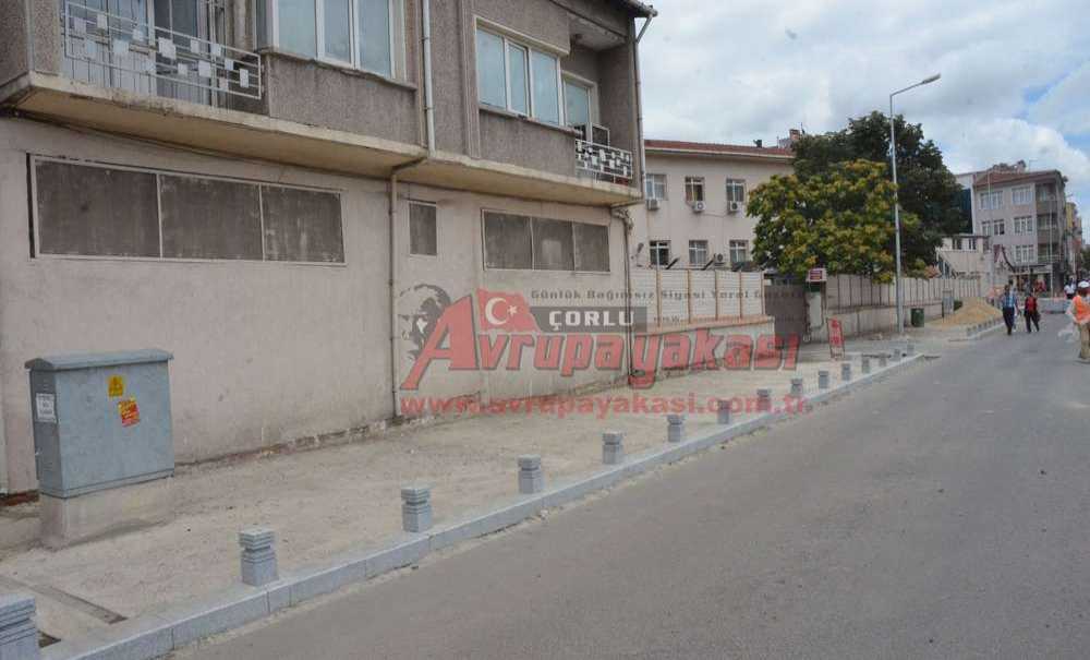 Ağaçlar Nereye Gitti?