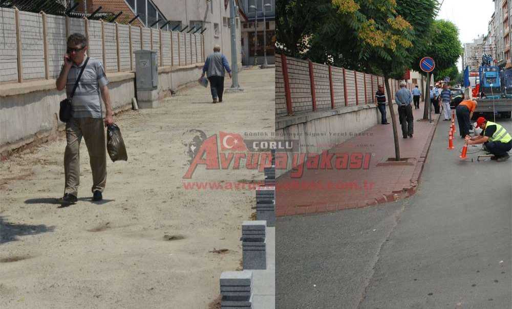 Ağaçlar Nereye Gitti?