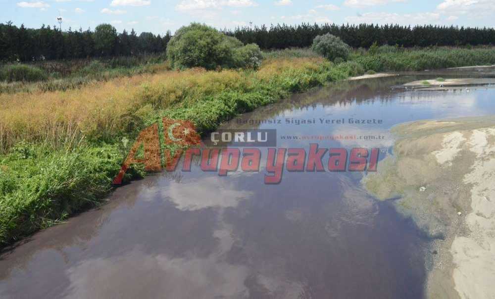 Bu Görüntüye Derenin Siyahı Yakışmıyor