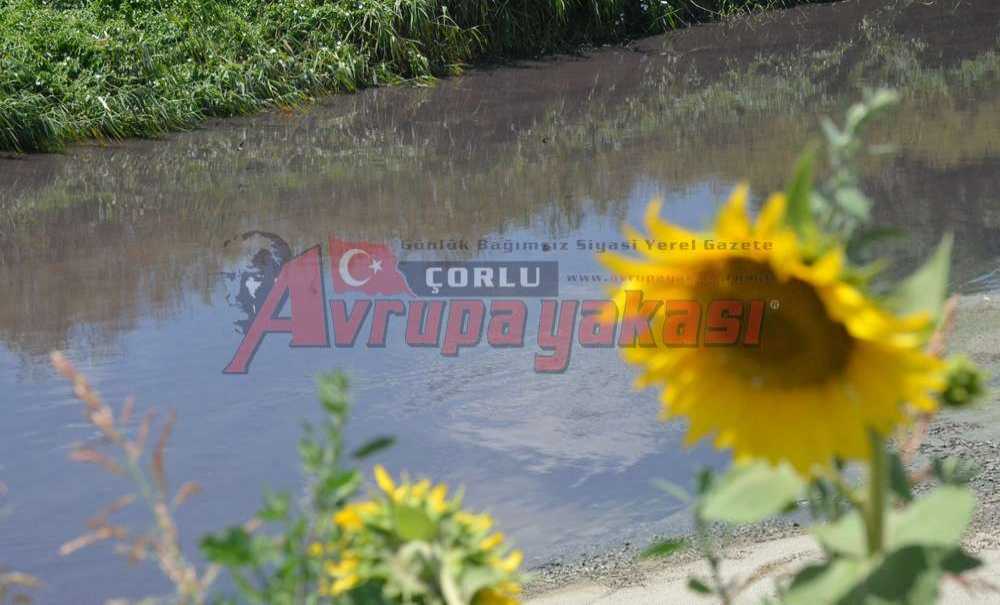 Bu Görüntüye Derenin Siyahı Yakışmıyor