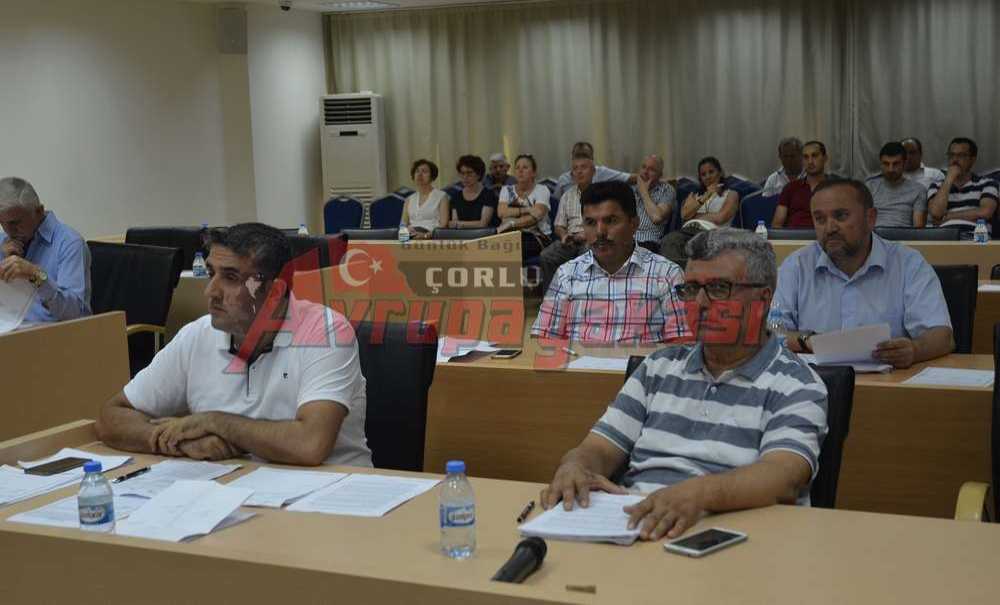 Ak Partili Eryılmaz Kumyol Caddesi'ndeki Ağaçların Akıbetini Sordu